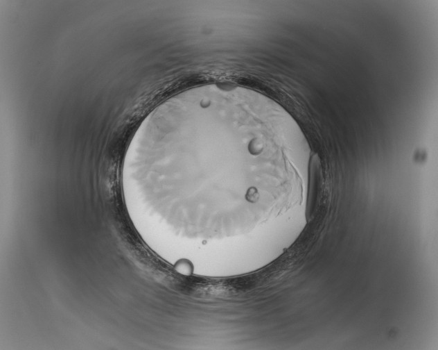 X0000114150503200911051445