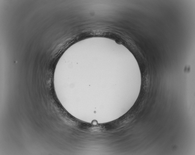 X0000114150505200911051445