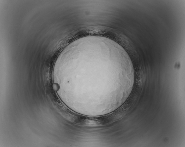 X0000114150510200911051445