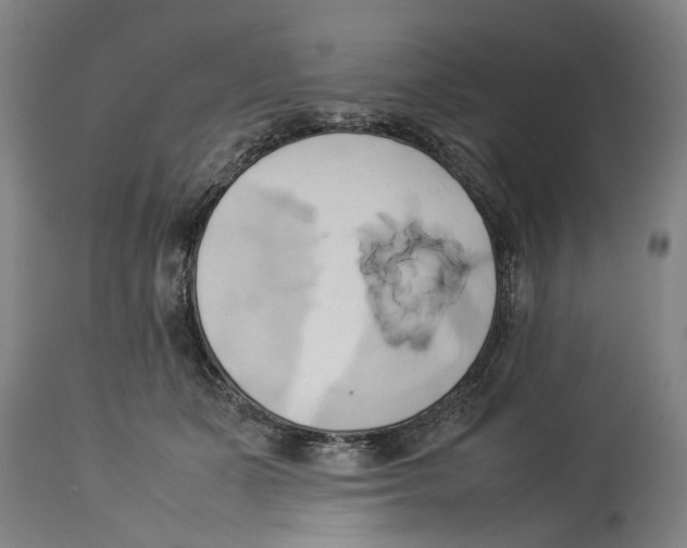 X0000114150511200911051445