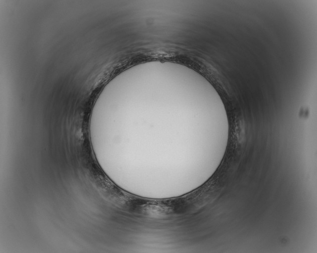 X0000114150512200911051445