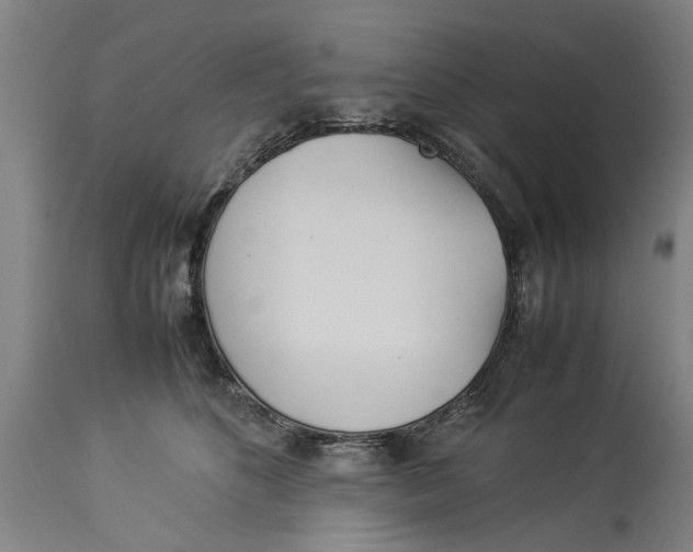 X0000114150516200911051445