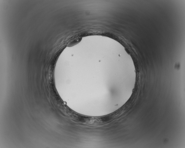 X0000114150517200911051445