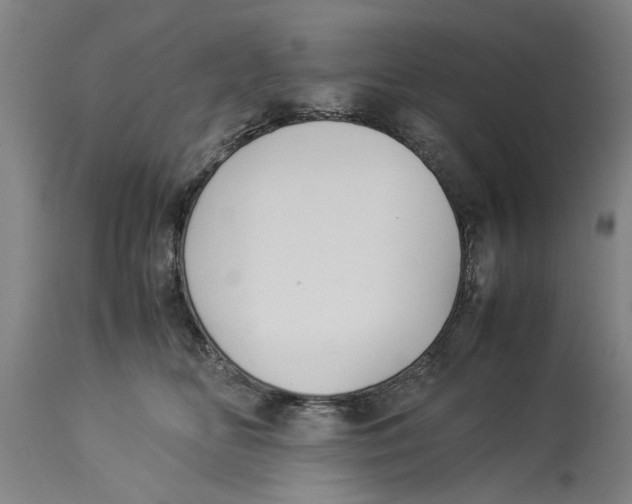 X0000114150518200911051445