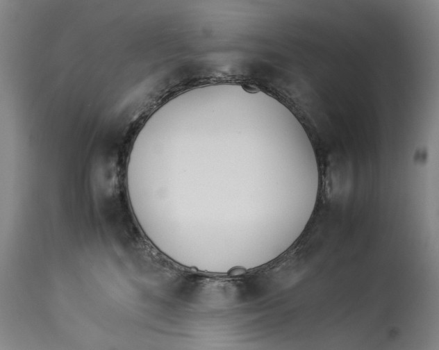 X0000114150520200911051445