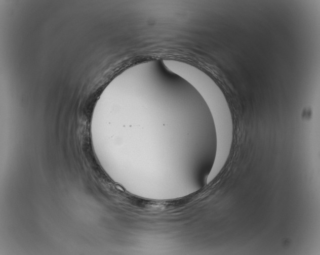 X0000114150521200911051445