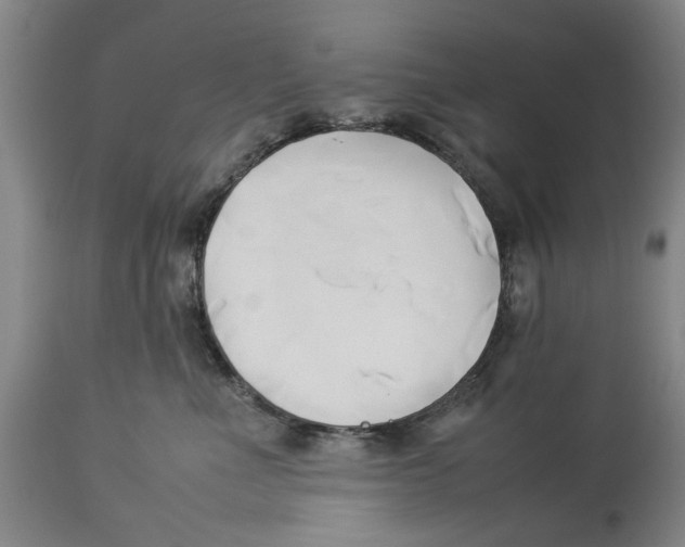 X0000114150523200911051445