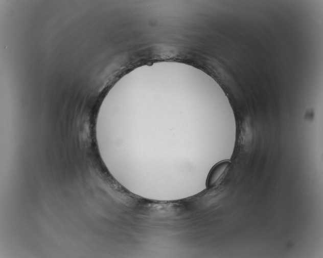 X0000114150524200911051445