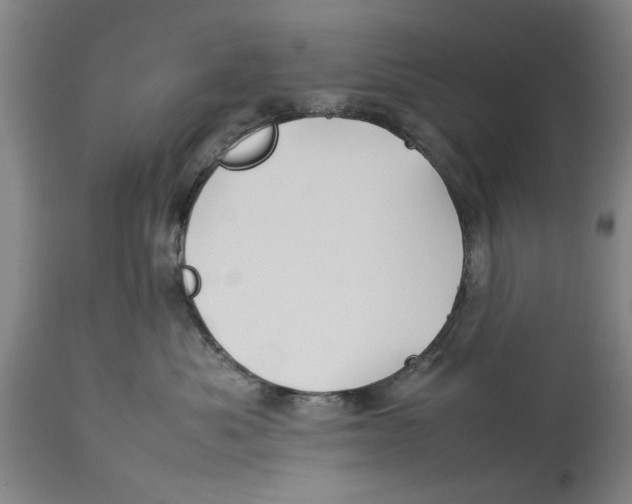 X0000114150525200911051445