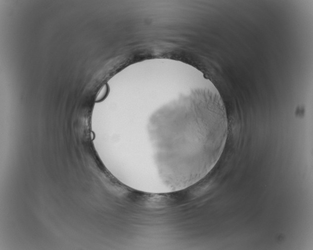 X0000114150527200911051445