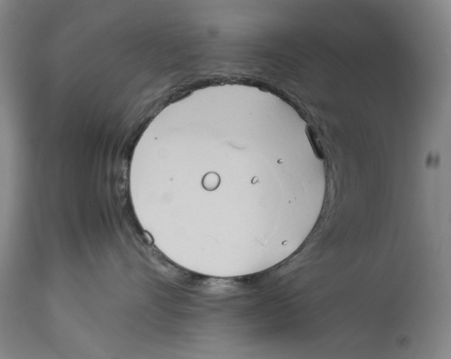 X0000114150528200911051445