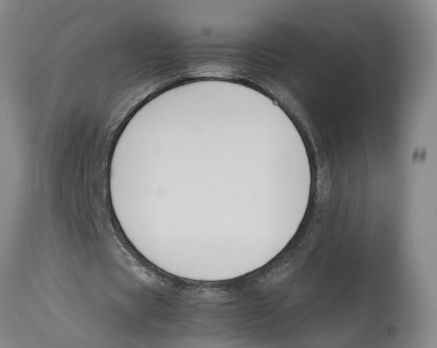X0000114150529200911051444