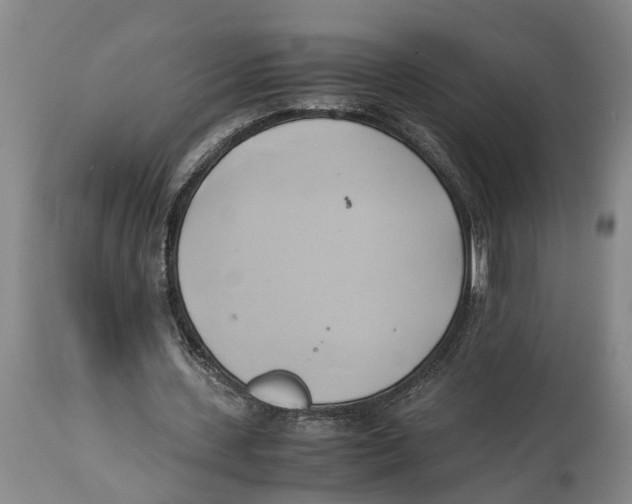 X0000114150531200911051444