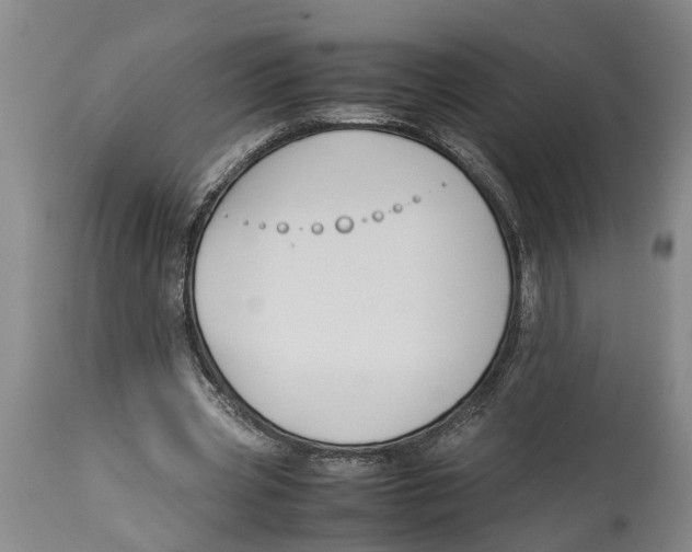 X0000114150533200911051444