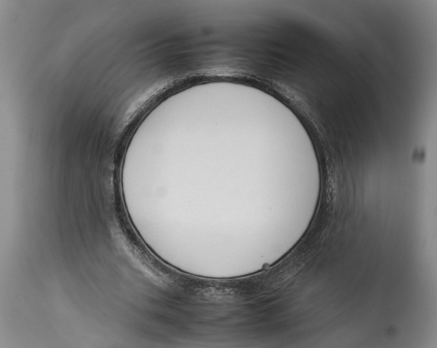 X0000114150535200911051444