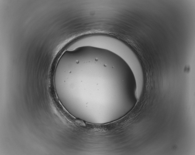 X0000114150536200911051444