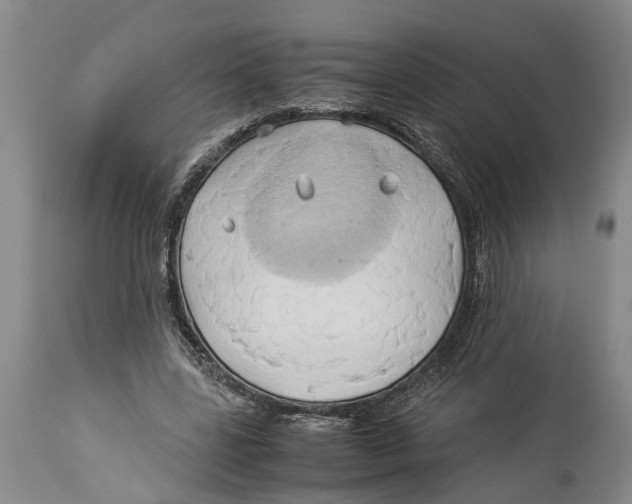 X0000114150539200911051444