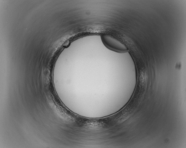 X0000114150540200911051444