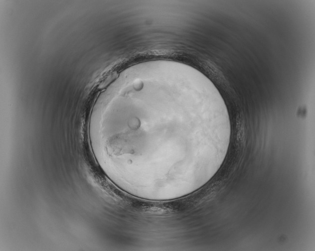 X0000114150542200911051445