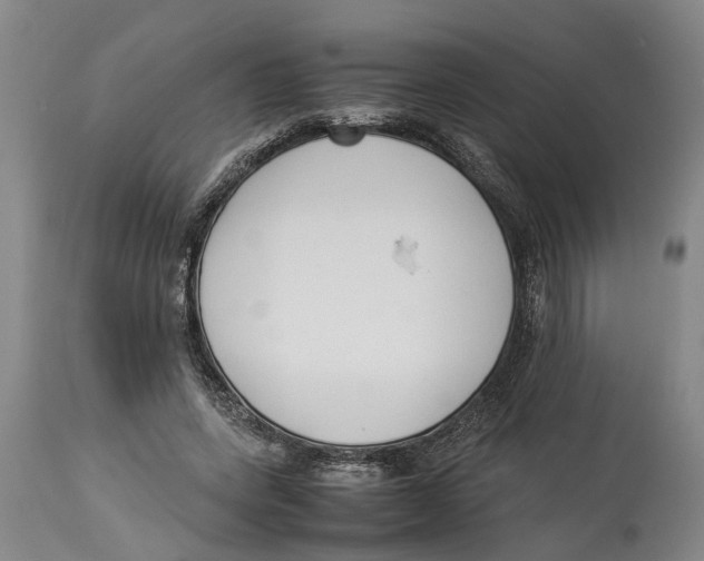 X0000114150543200911051445