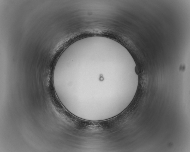 X0000114150544200911051445