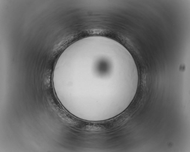 X0000114150545200911051445