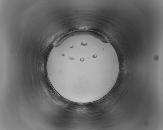 X0000114150547200911051445