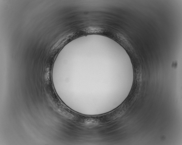 X0000114150549200911051445