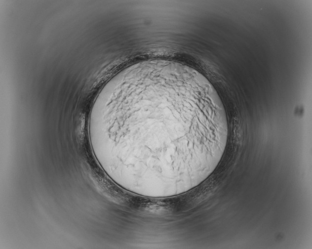 X0000114150550200911051445