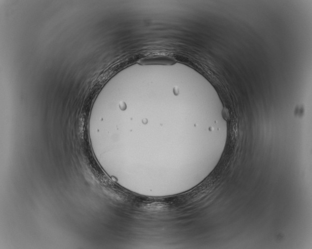X0000114150551200911051445