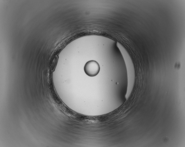 X0000114150552200911051445