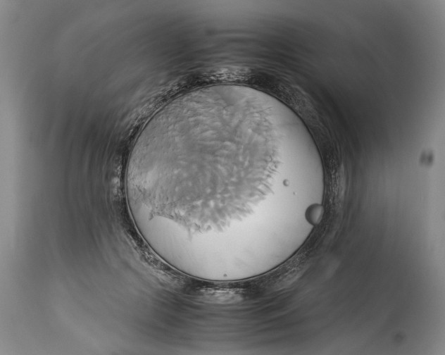 X0000114150553200911051445