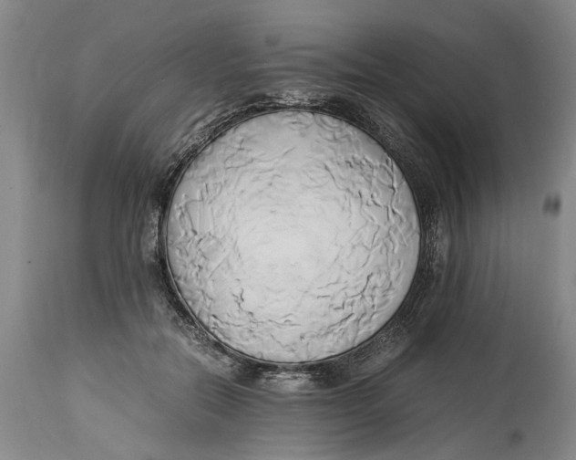 X0000114150554200911051445