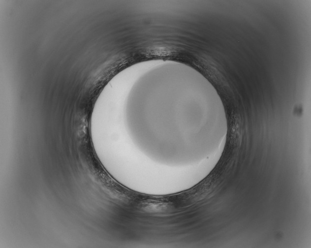 X0000114150555200911051445