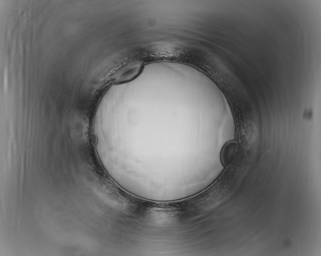 X0000114150556200911051445