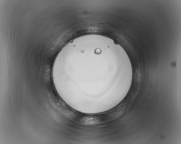 X0000114150557200911051445