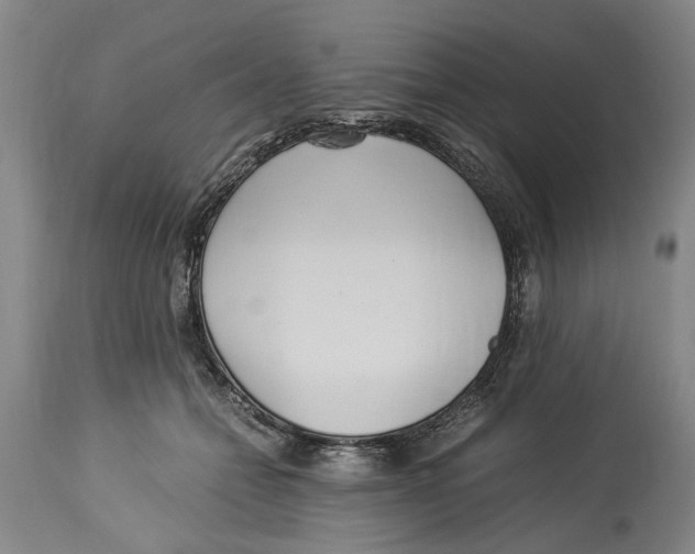 X0000114150558200911051445