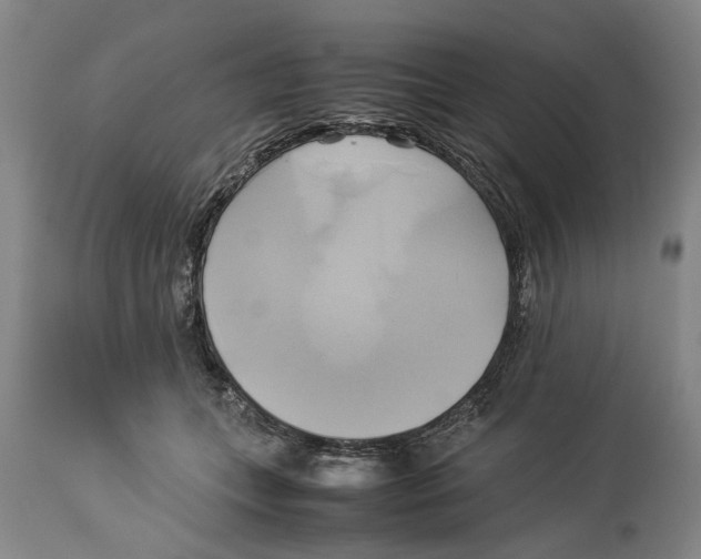 X0000114150559200911051445