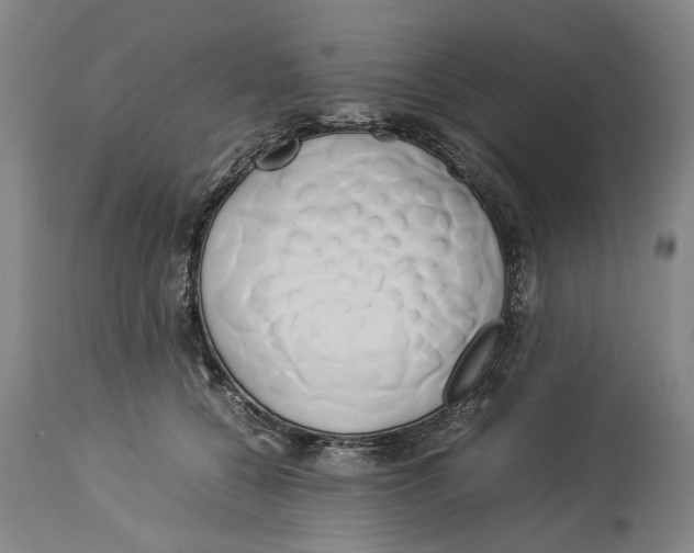 X0000114150560200911051445