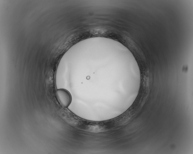 X0000114150561200911051445