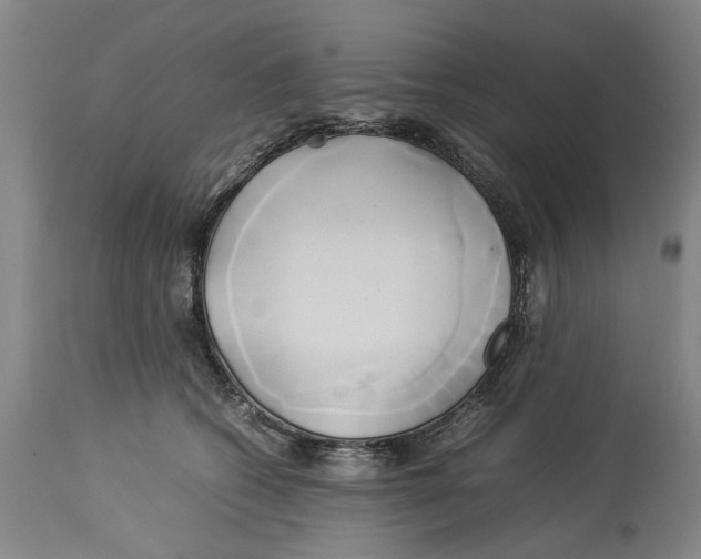 X0000114150562200911051445