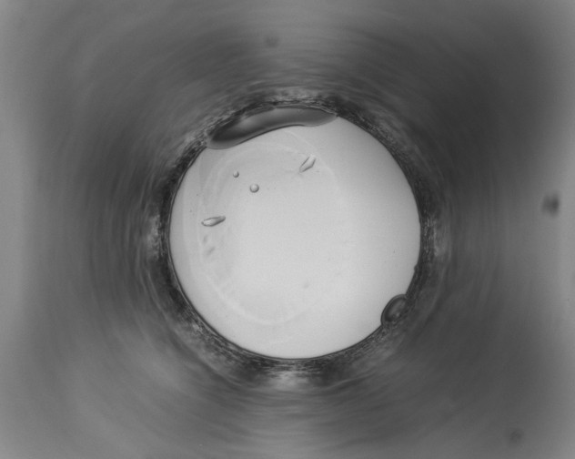 X0000114150564200911051445
