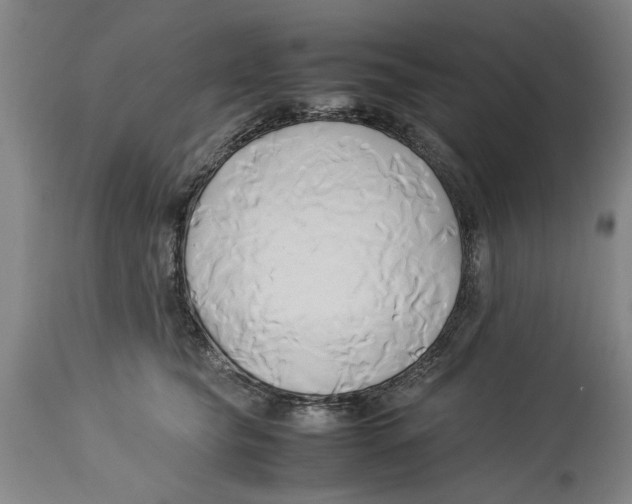 X0000114150565200911051445