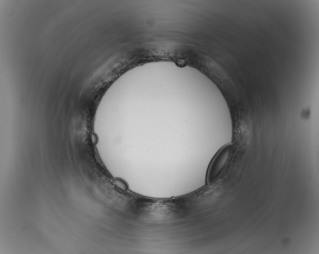 X0000114150566200911051445