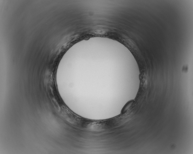 X0000114150568200911051445
