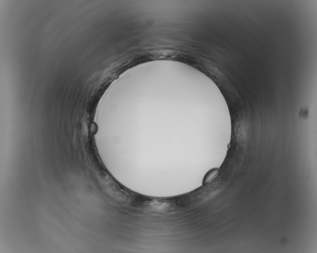 X0000114150570200911051445