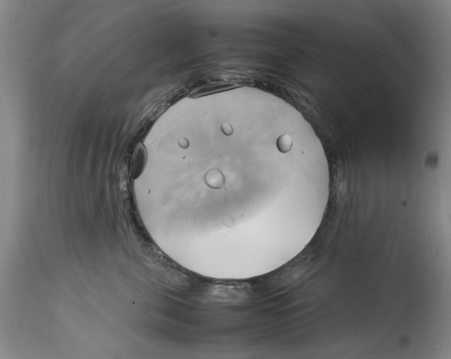 X0000114150571200911051445