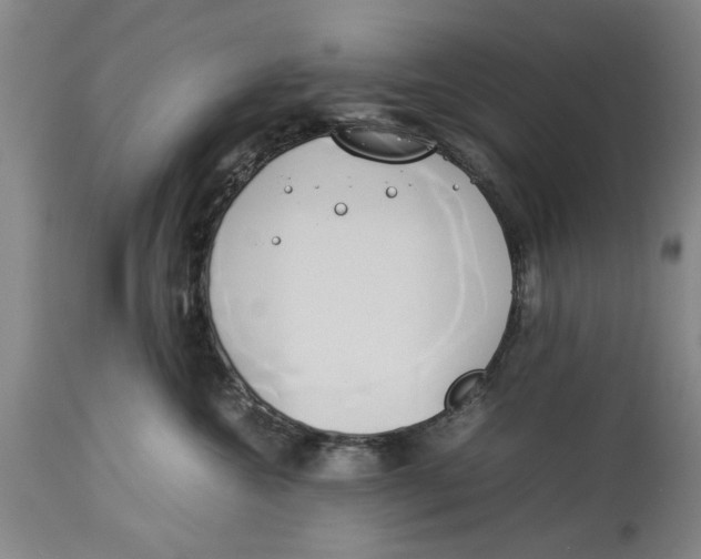X0000114150572200911051445