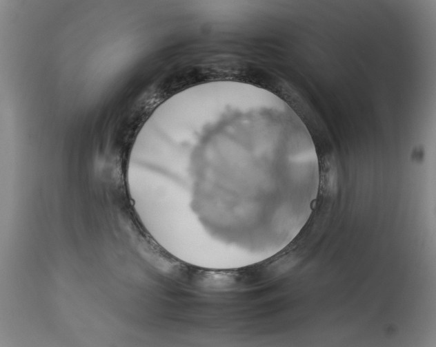 X0000114150573200911051445