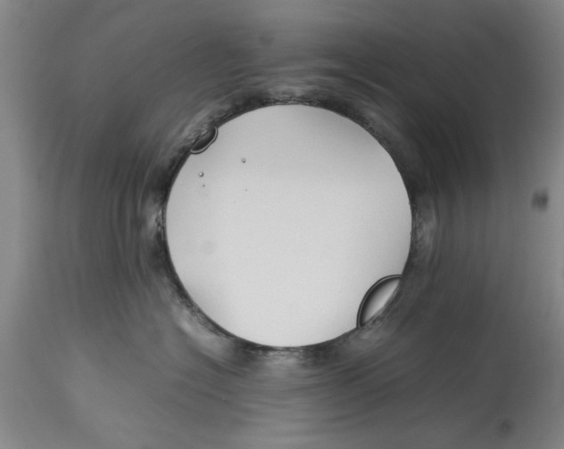 X0000114150574200911051445